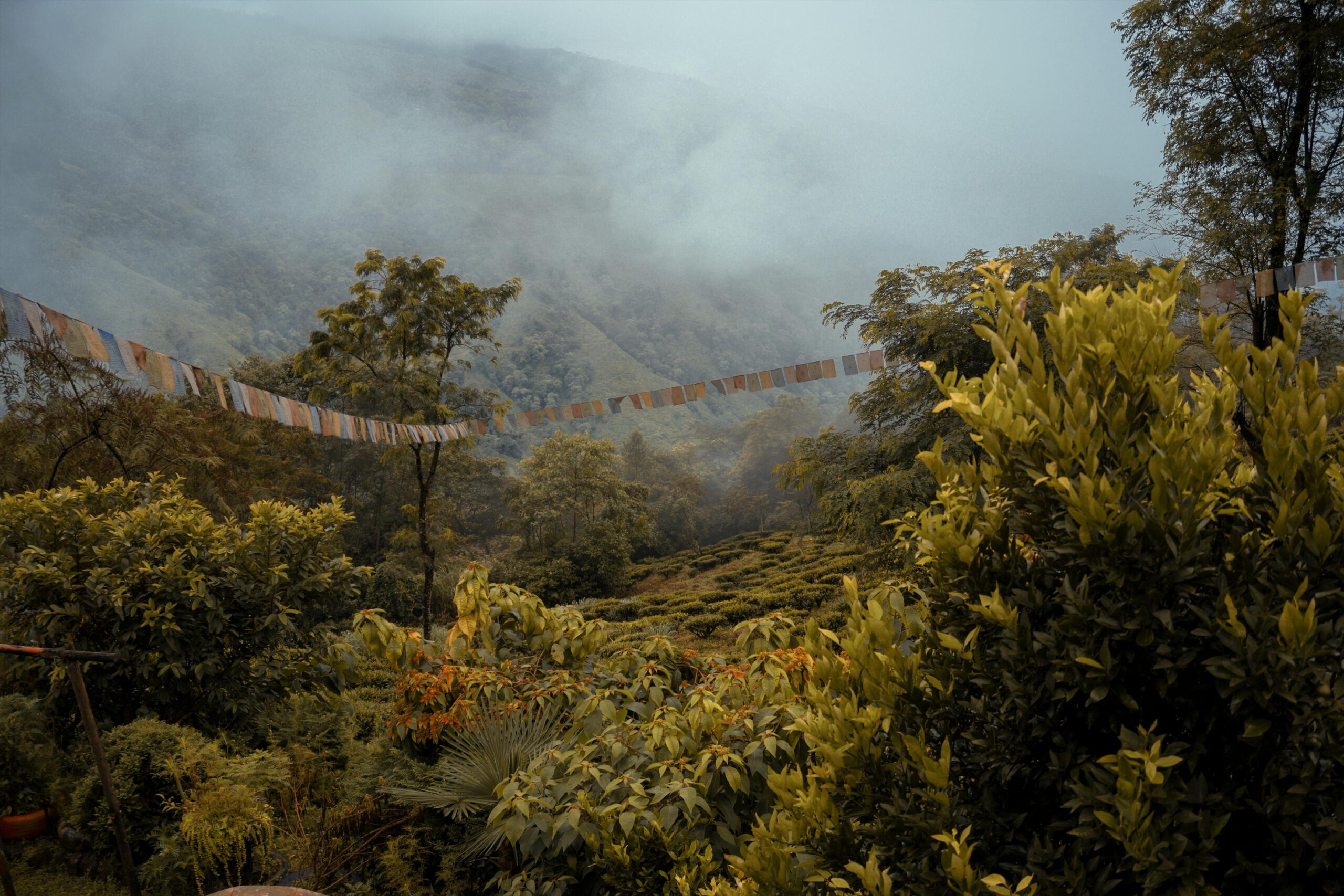 Nepal